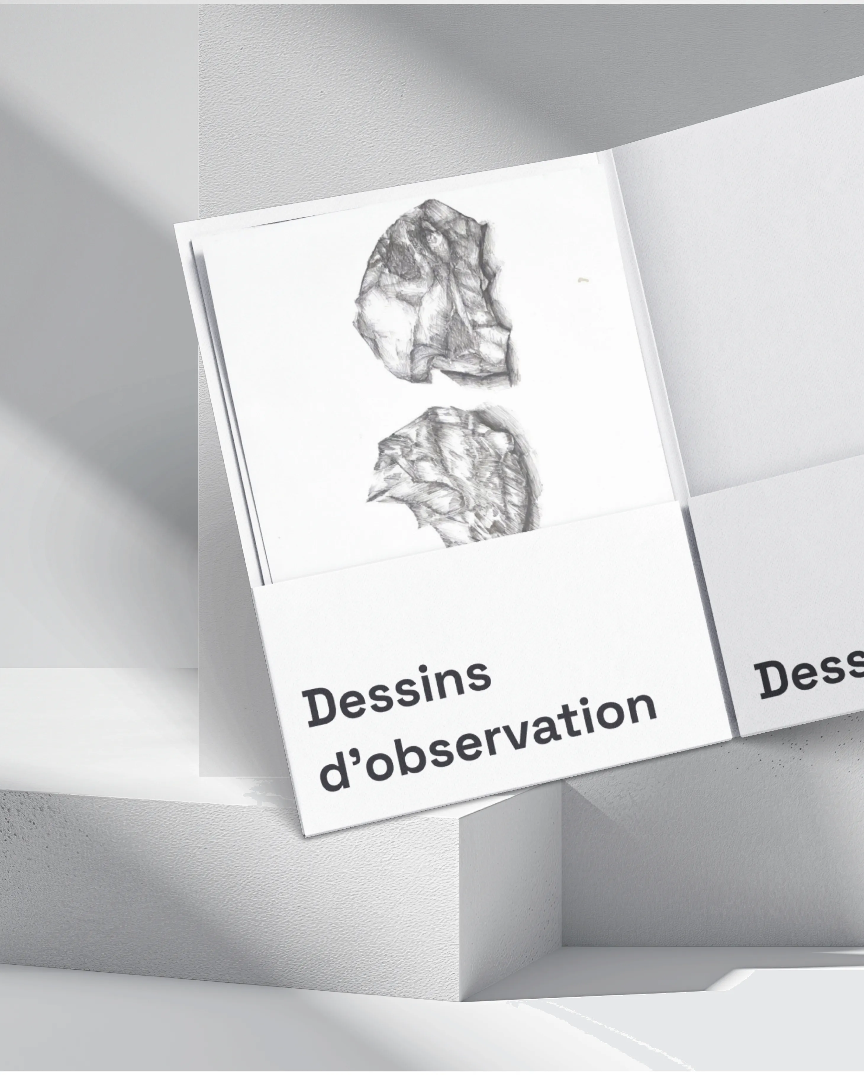 Dessins d'observation