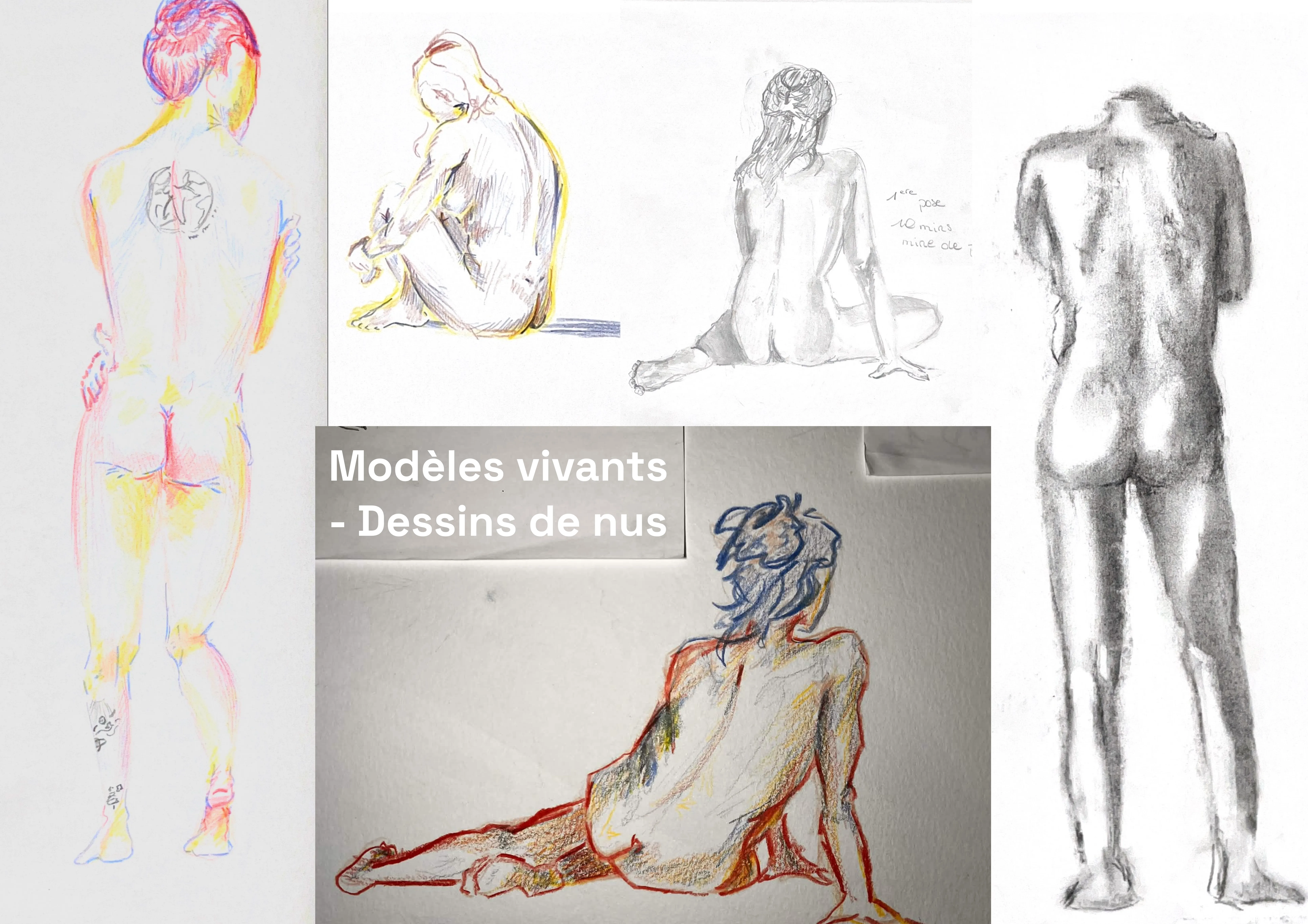 Dessins d'observation - Image 1
